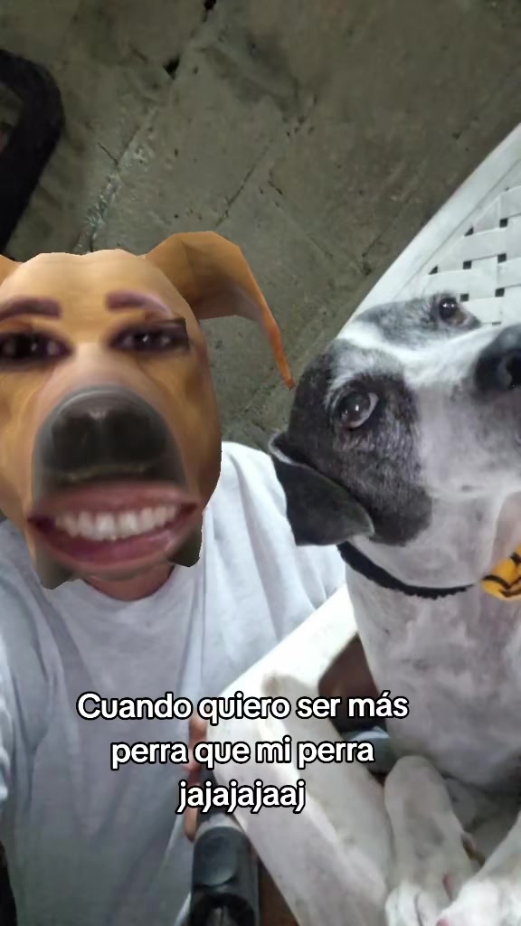 @MANCHAS 0714 OFICIAL