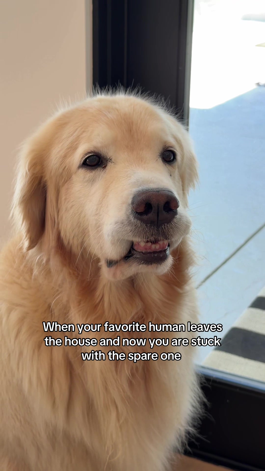 @Maui, Ruby +Hugo