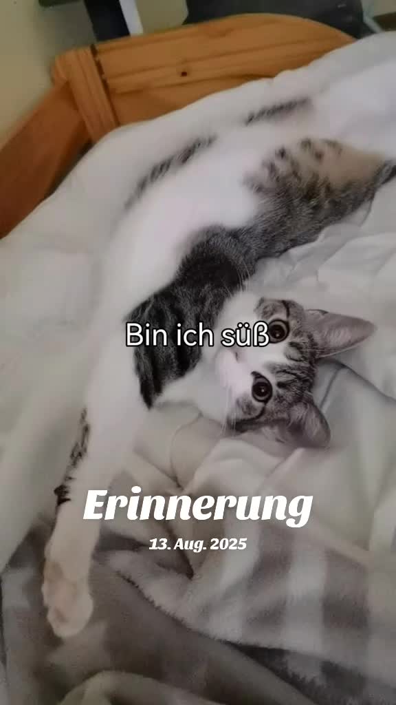 @juli🇩🇪🇺🇸🇷🇺