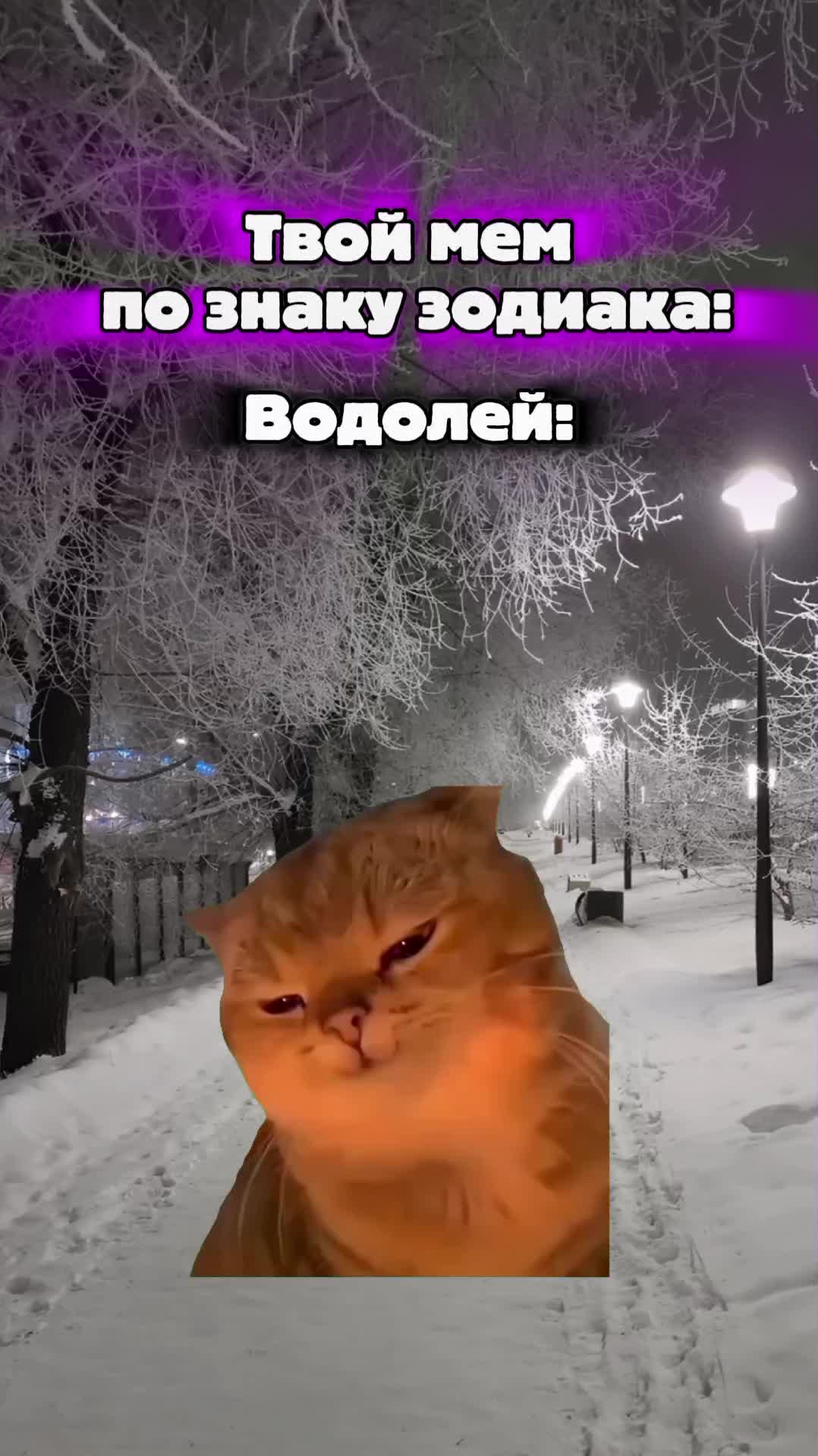 @MisterCat