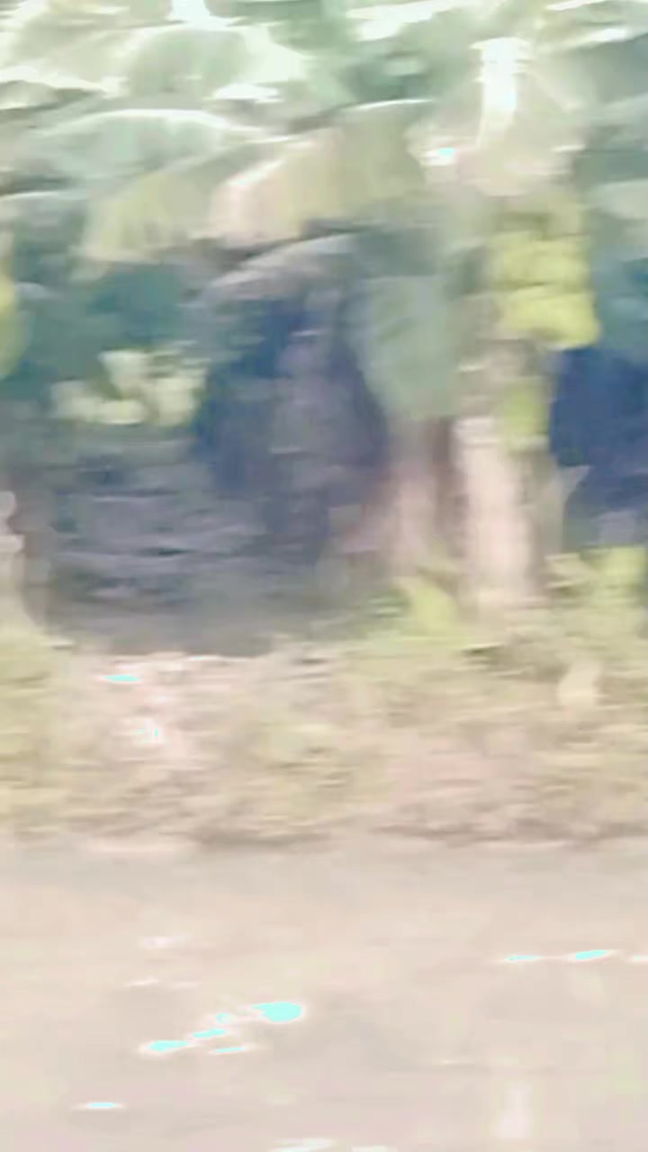 @🌹👌👌বিউটিফুল