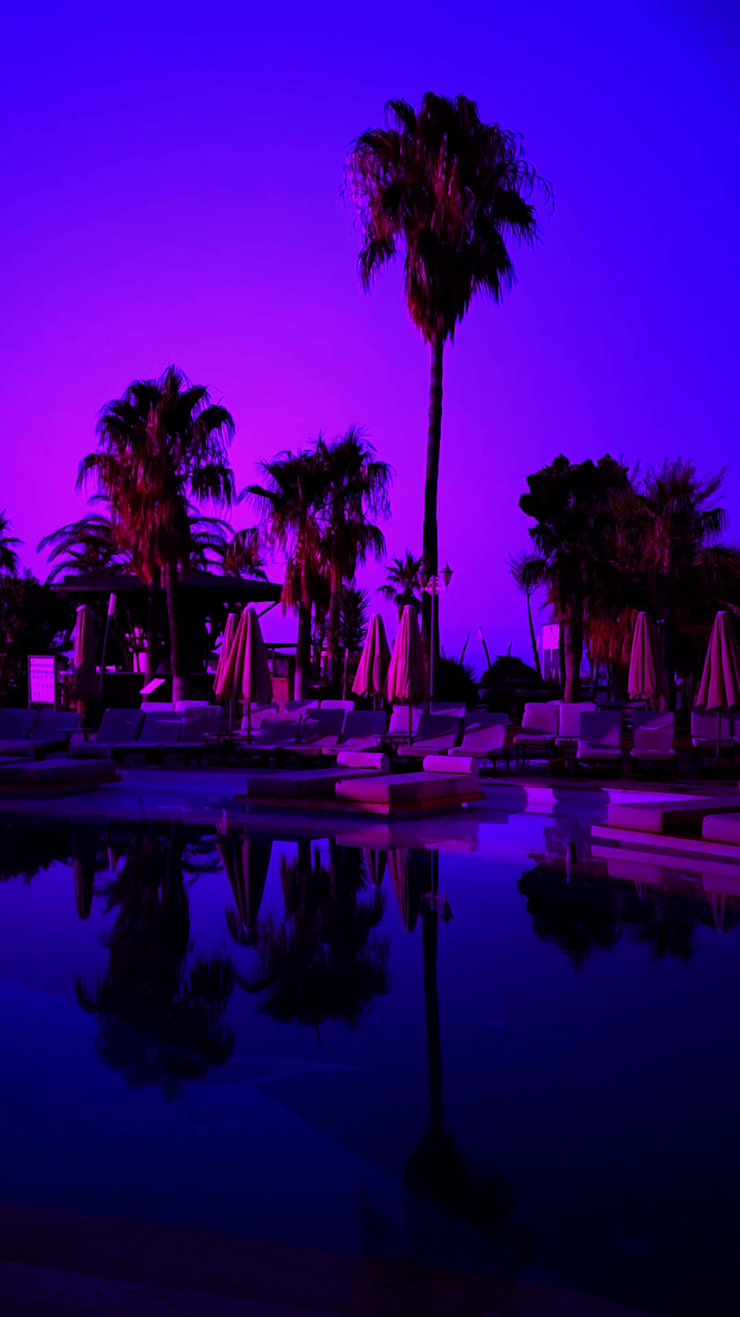 @Purplify 🎧