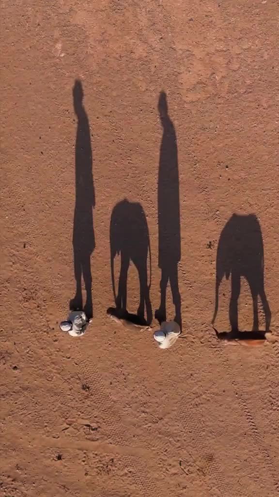 @SheldrickTrust