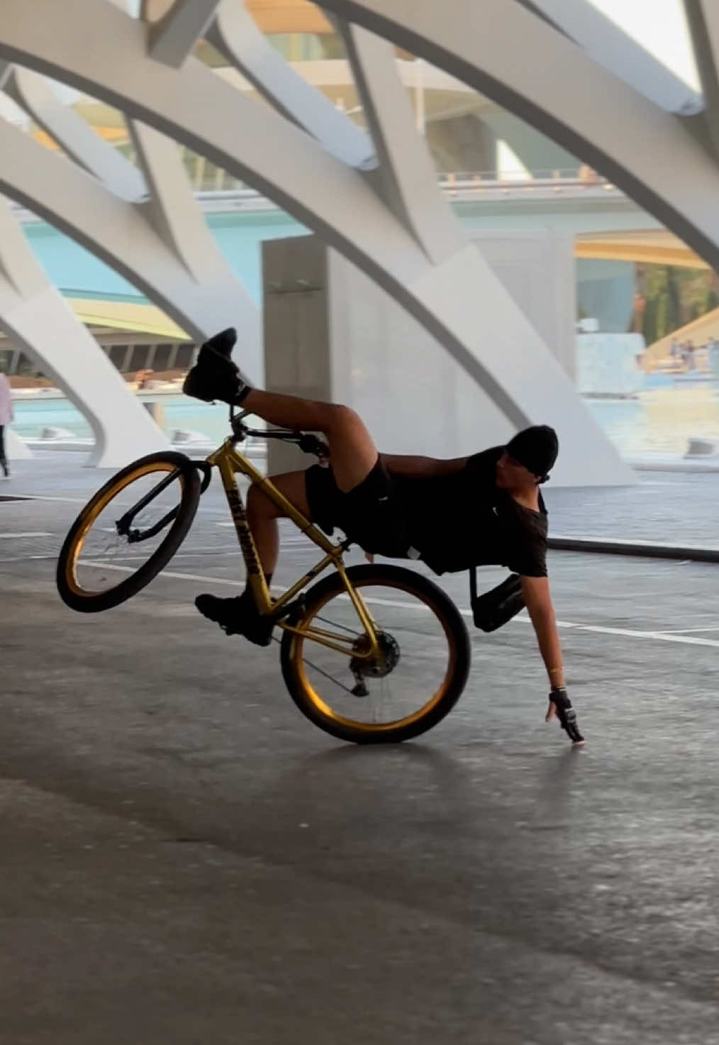 @sd.gio_