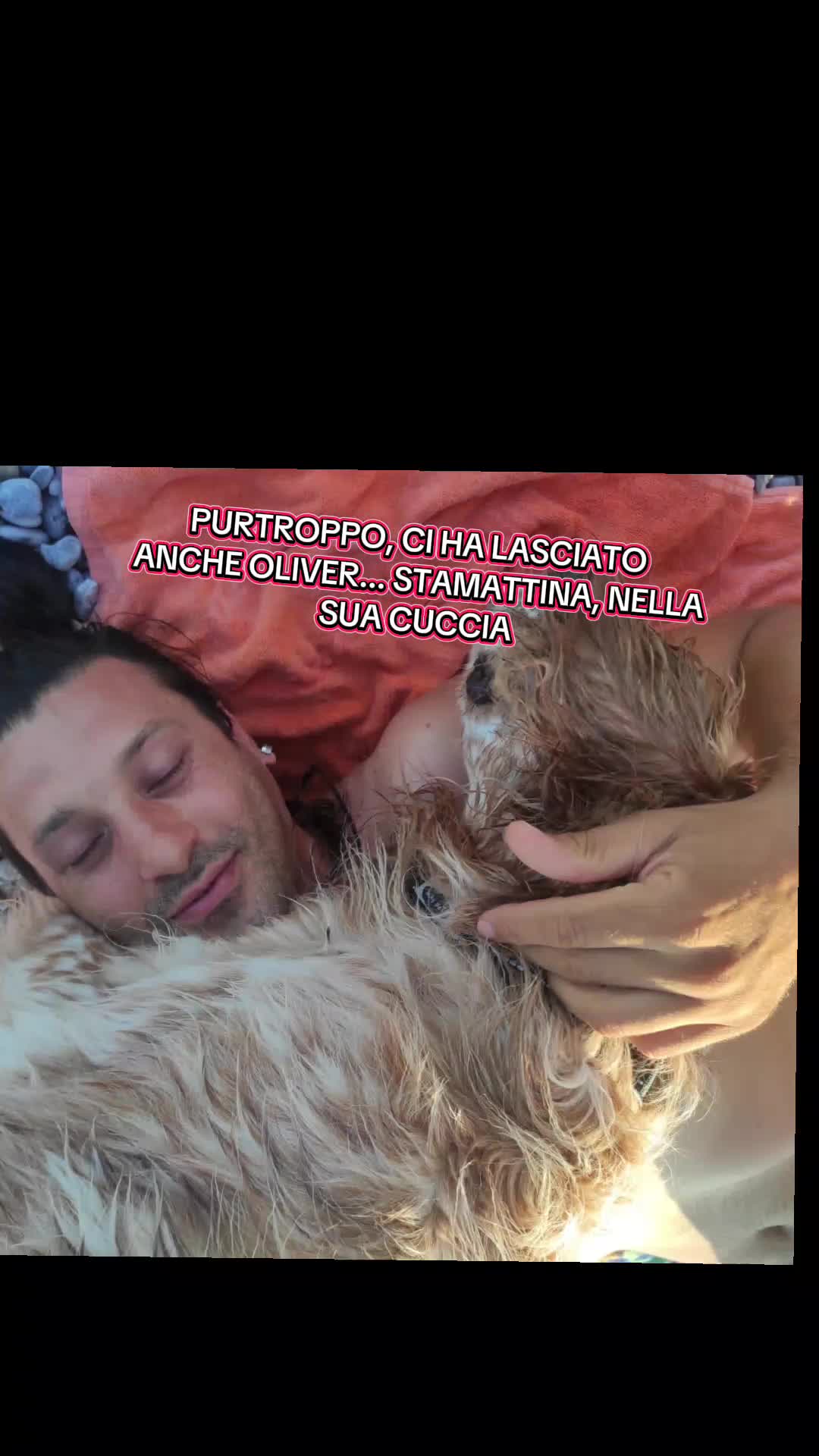 @Biagio Nasti Pelosisos