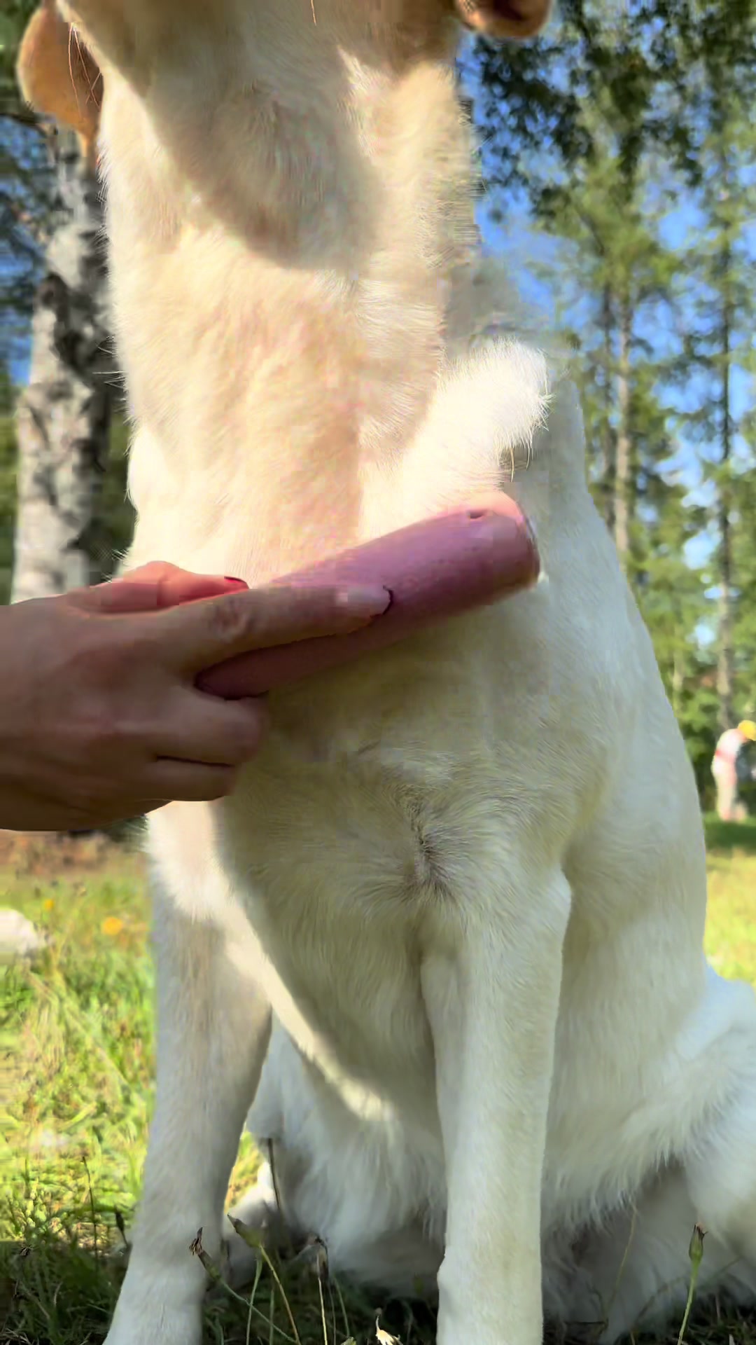 @puppycomb