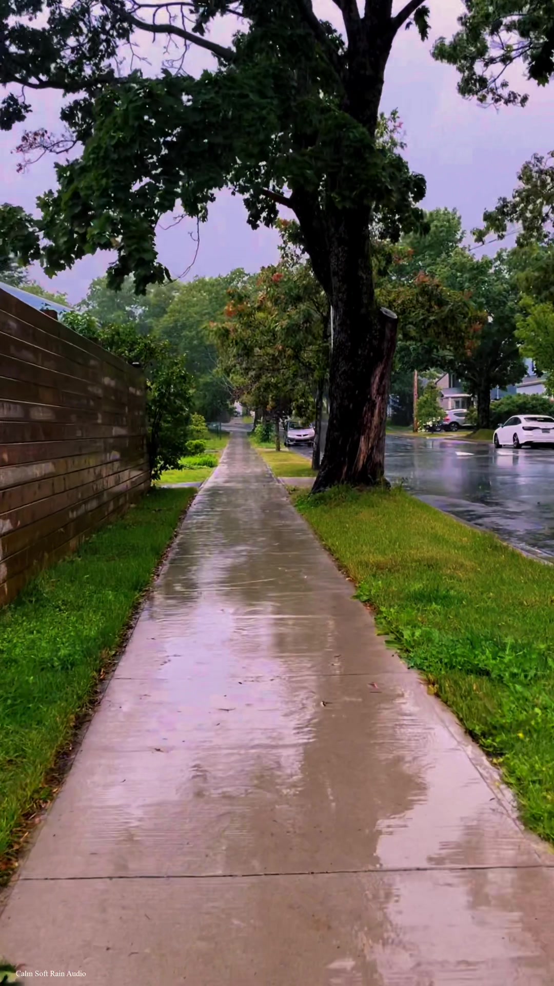 @Calm Soft Rain Audio