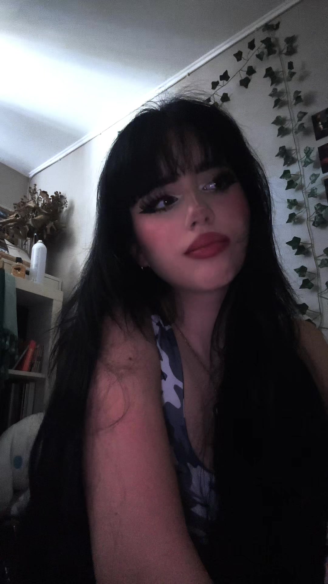 @chatdinosaure