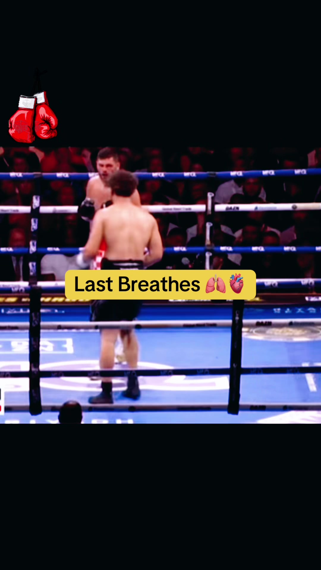 @stoicsparkboxing
