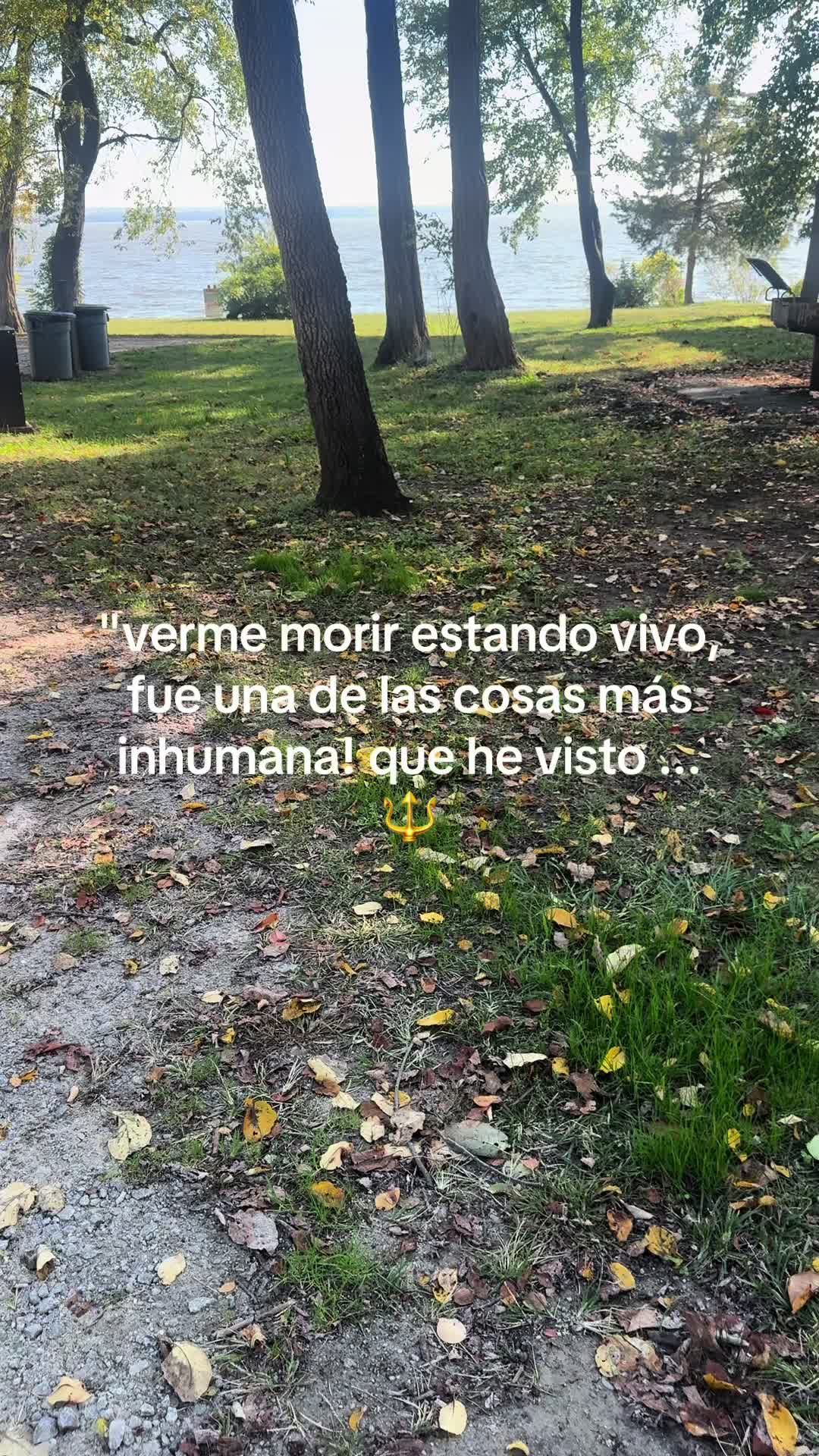 @Irene Umana
