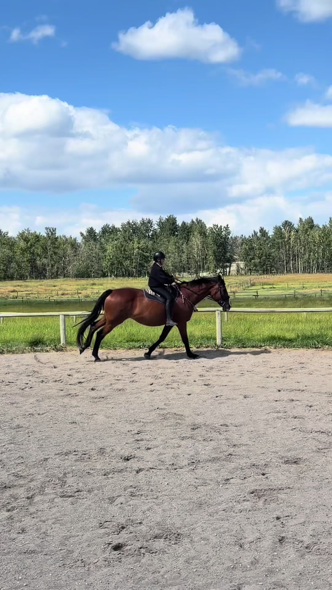 @Kaya_Equine _Molly