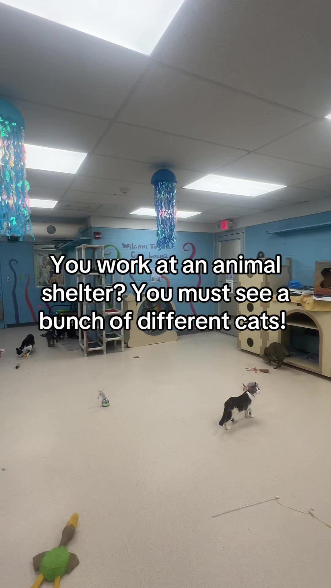 @Vanderburgh Humane Society