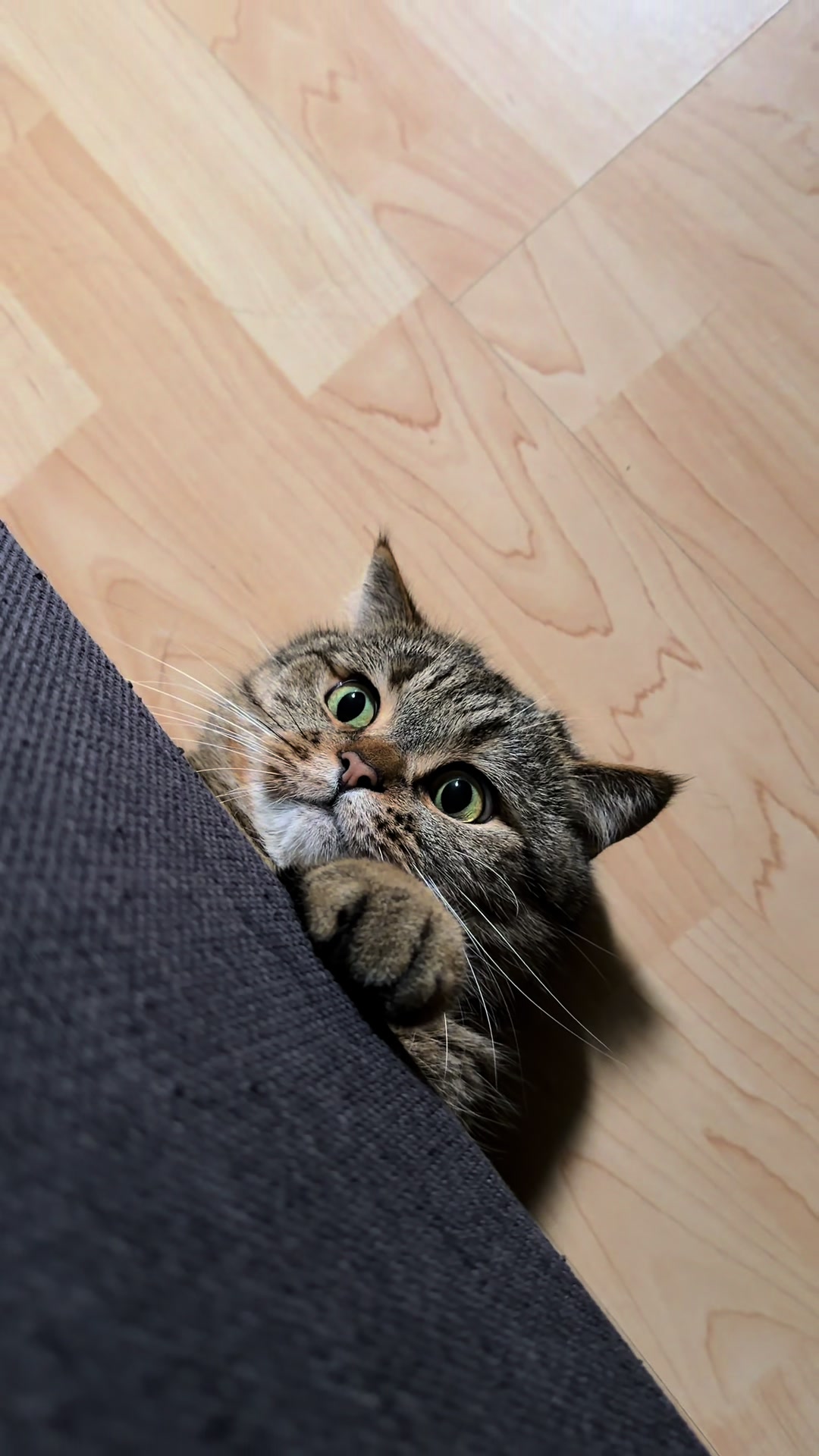 @Джоні 😻