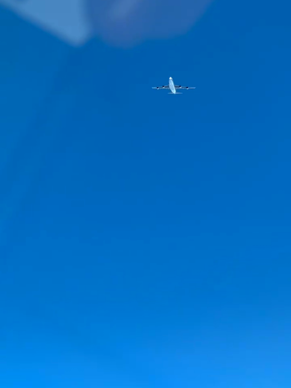 @𝑂𝑣𝑖 🦅