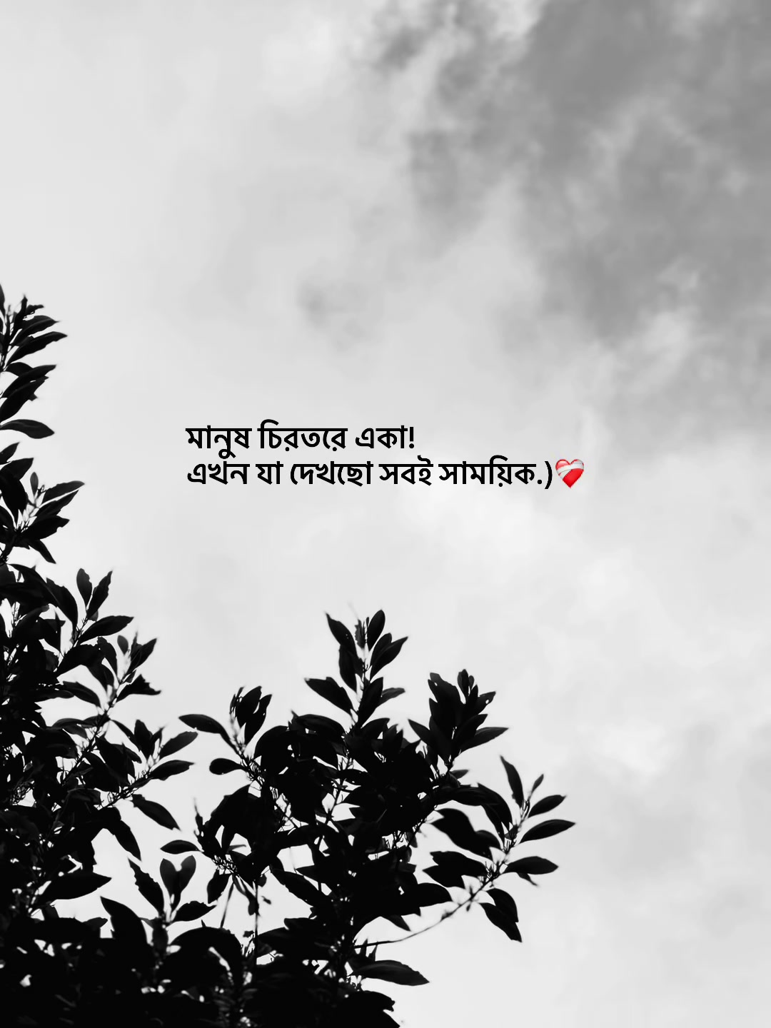 @आईएएन ┊🐥