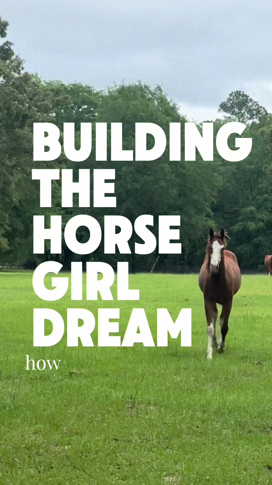 @corderoequine