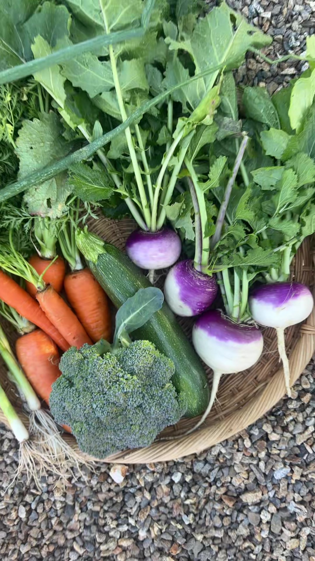 @earthboundgardening