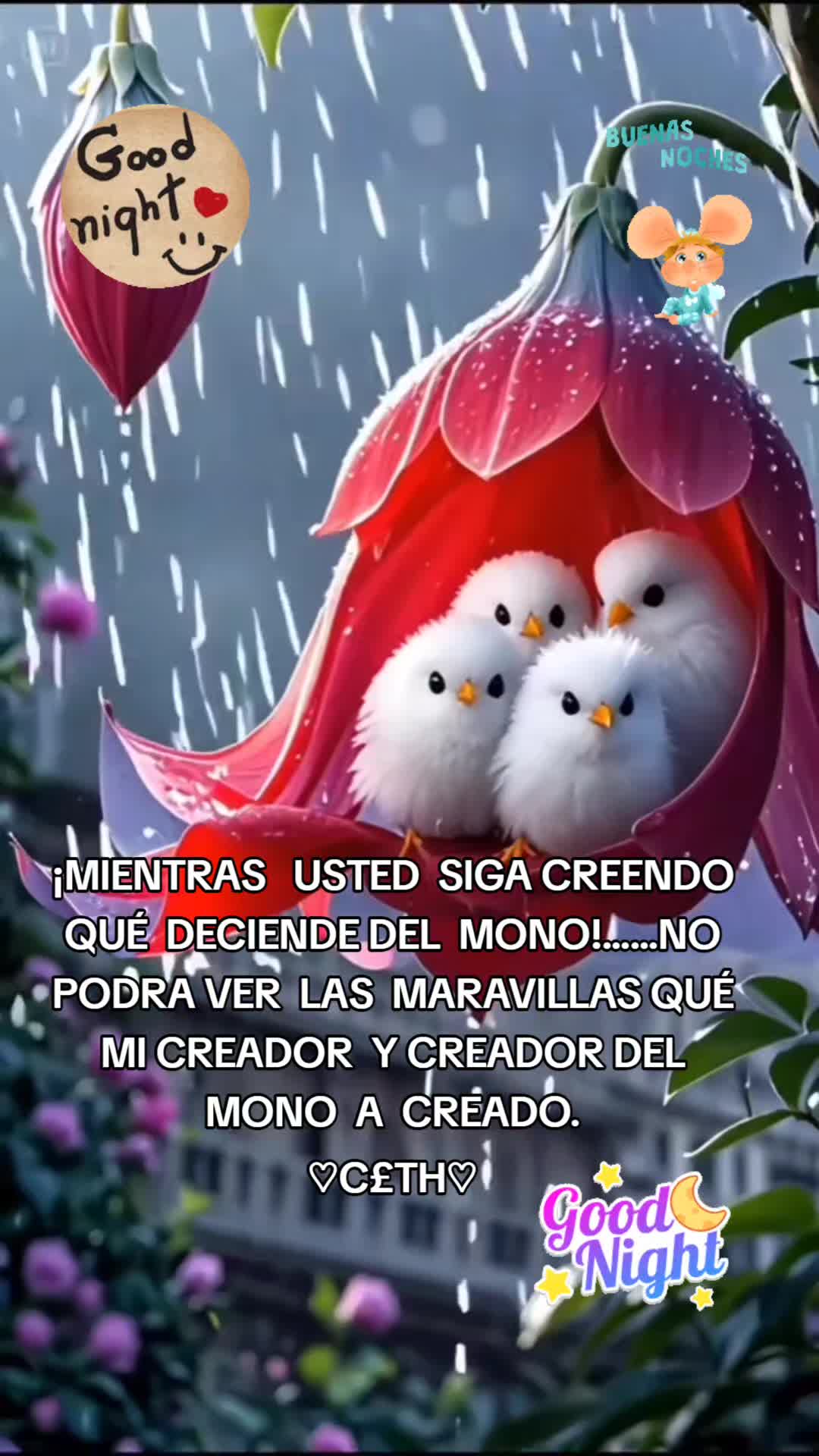 @user4441509222013W