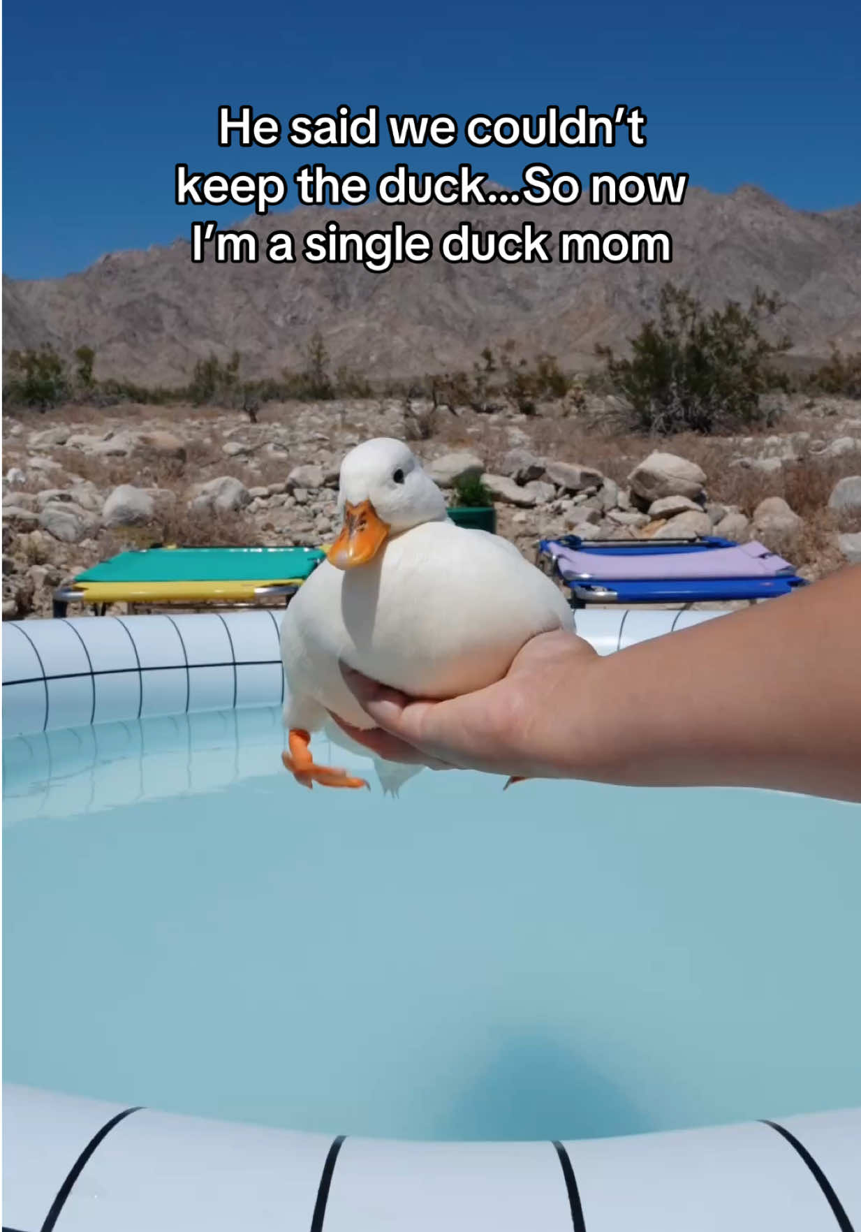 @ducks_in_space🪿🪿💦