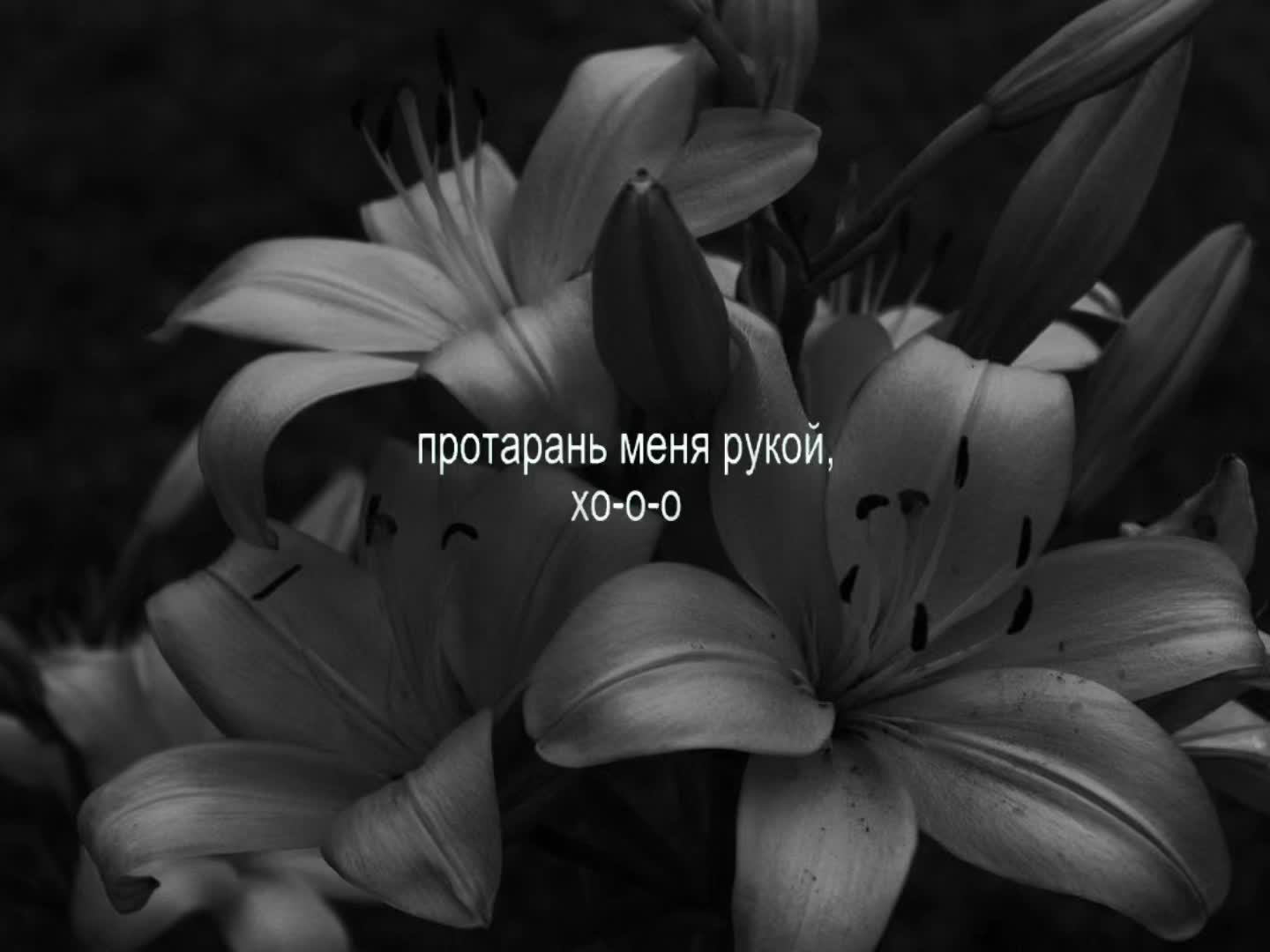 @зипочка