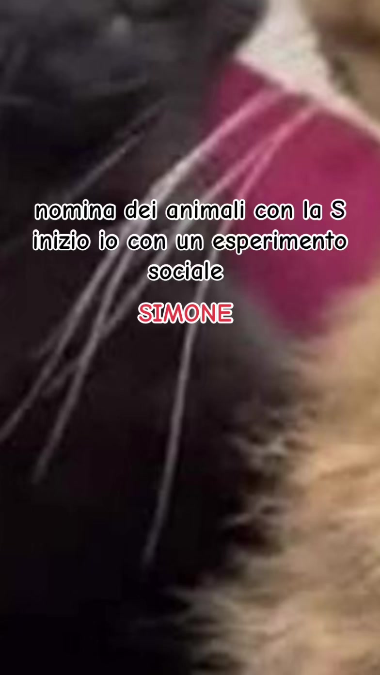 @odiosimone