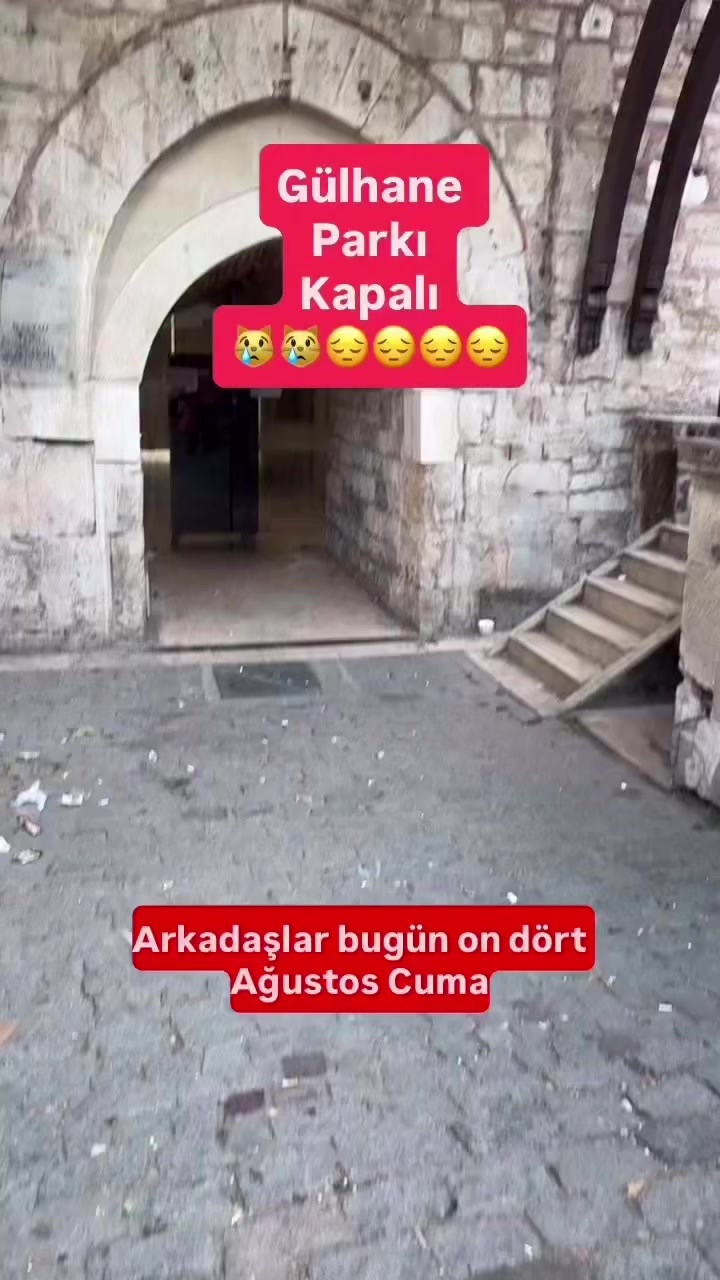 @Salim Kuntoğlu