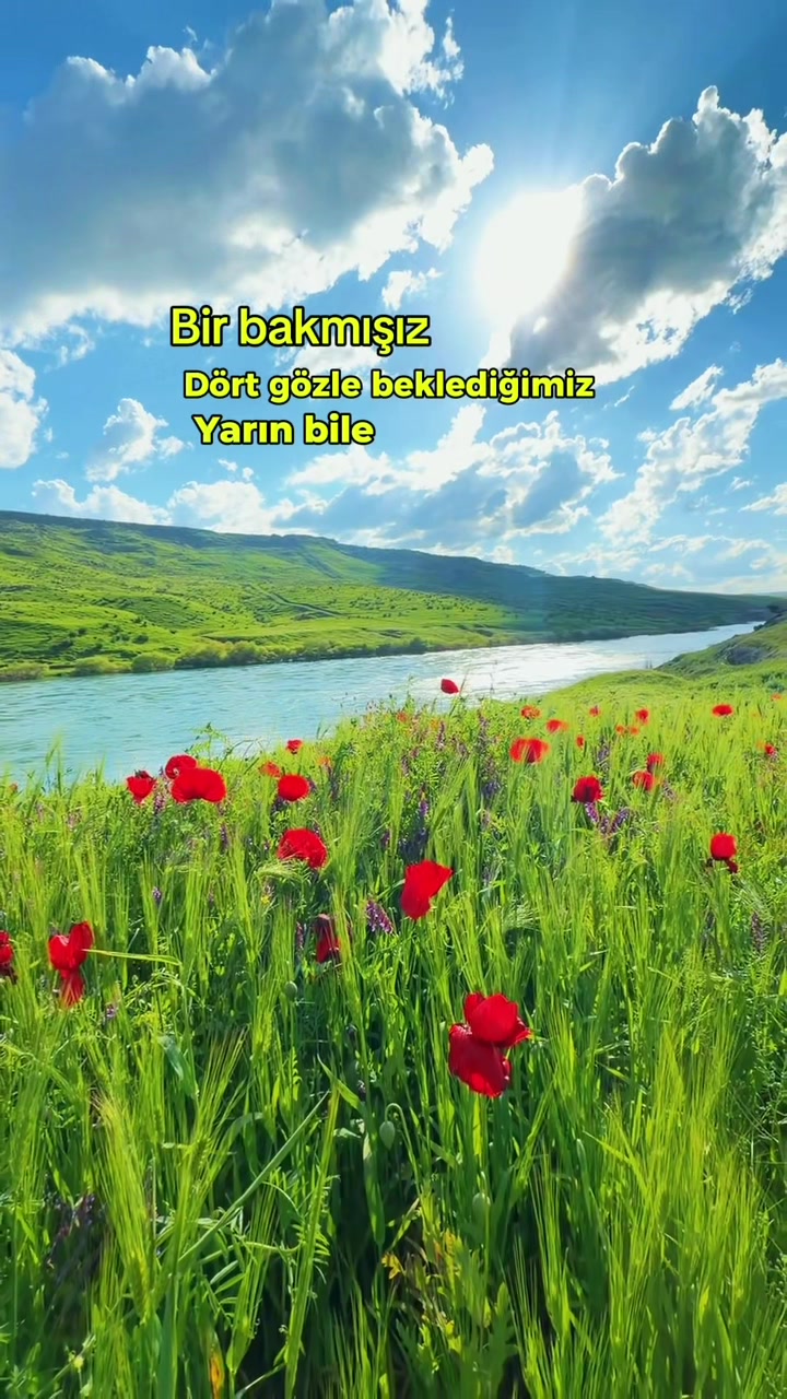 @akif.ozek