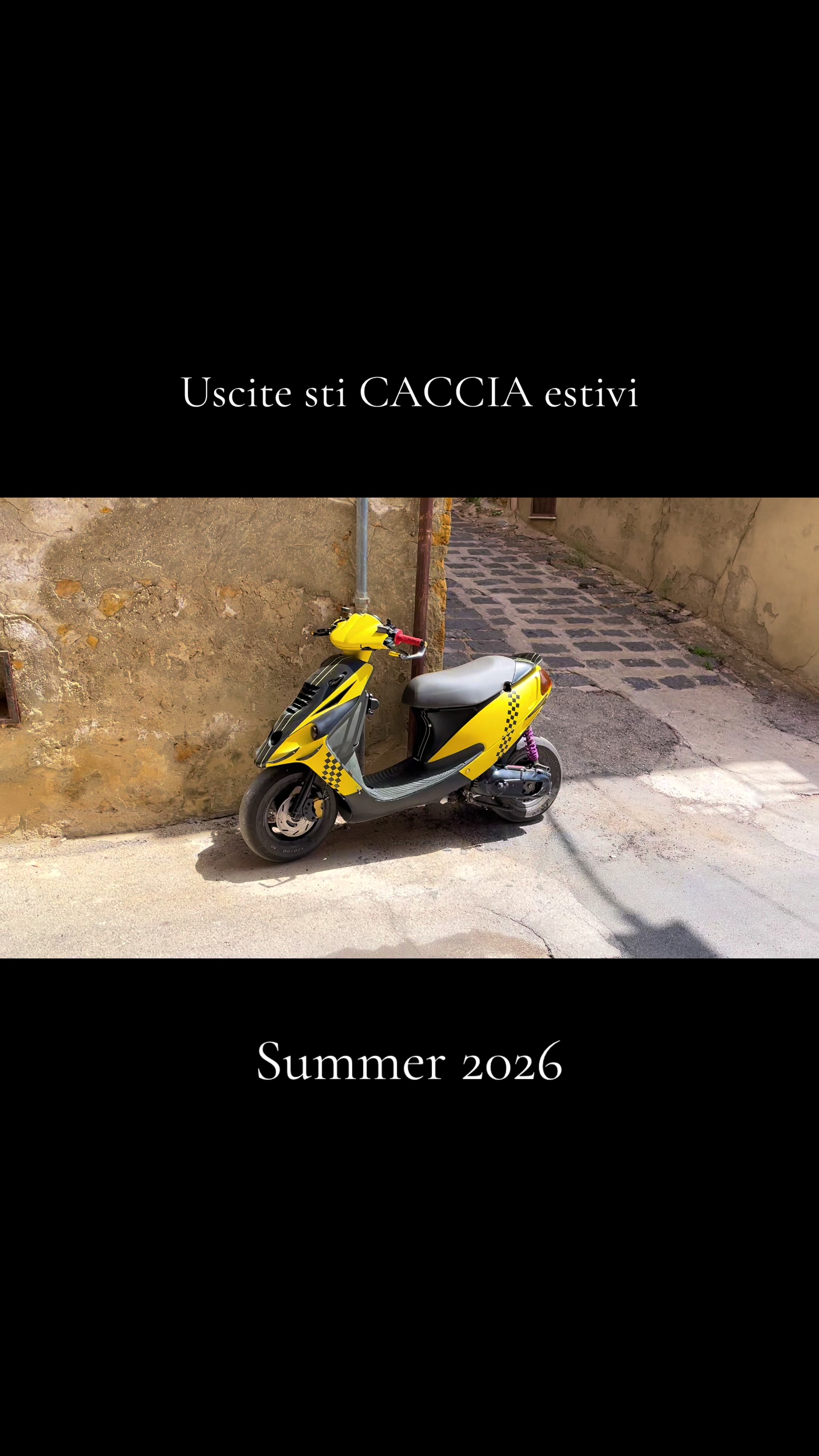 @CanePazzo1994 ( il ritorno )