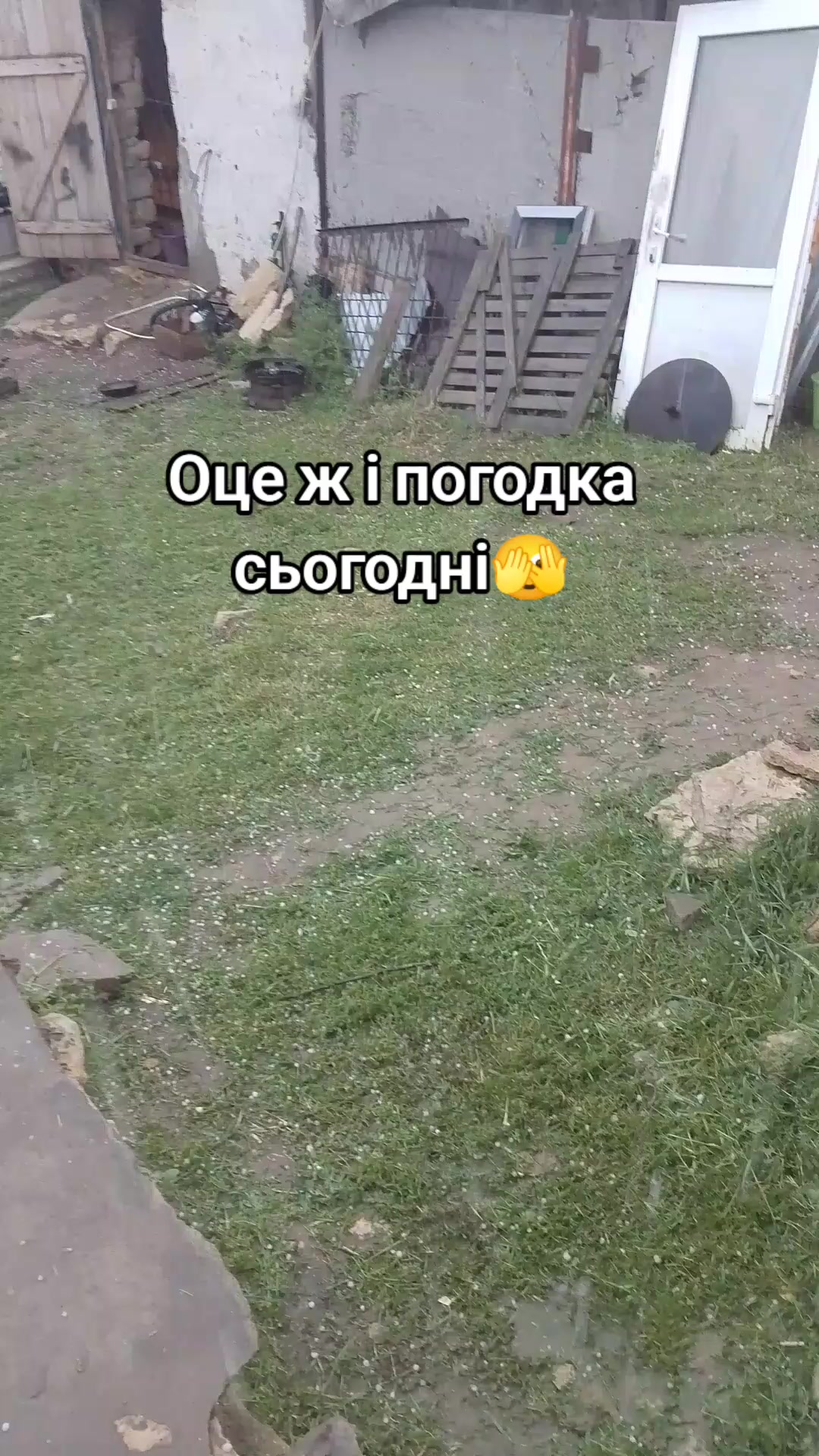 @Анюта