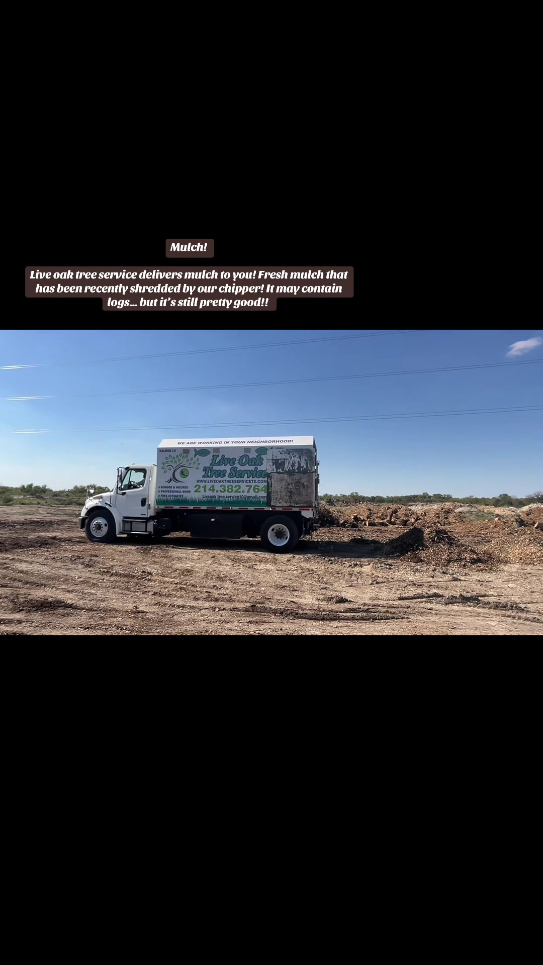 @Live Oak Tree Service