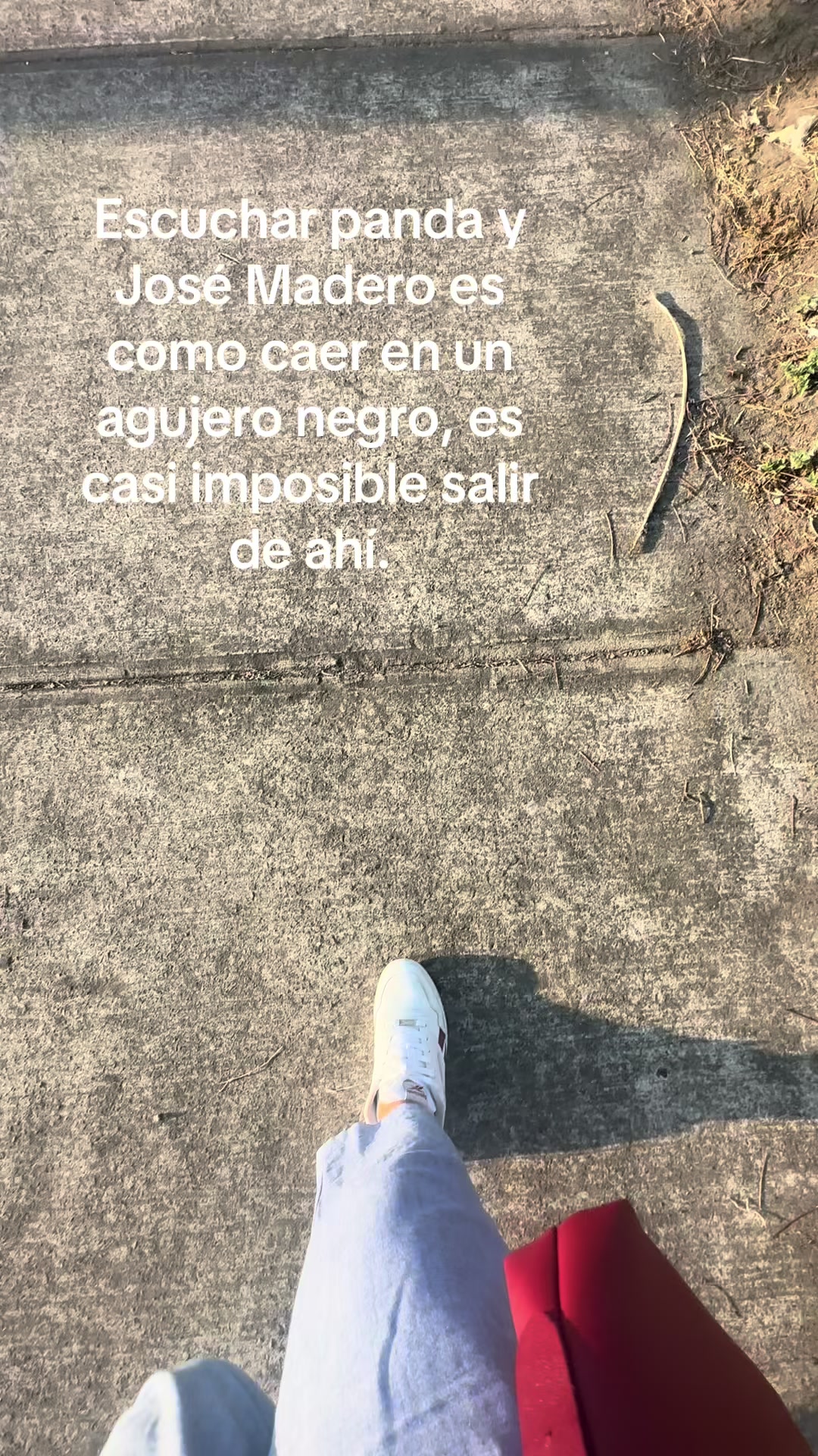@irenerosas375