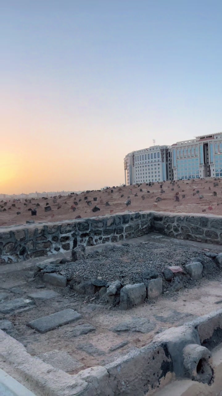 @سیدسردار✨🕊️