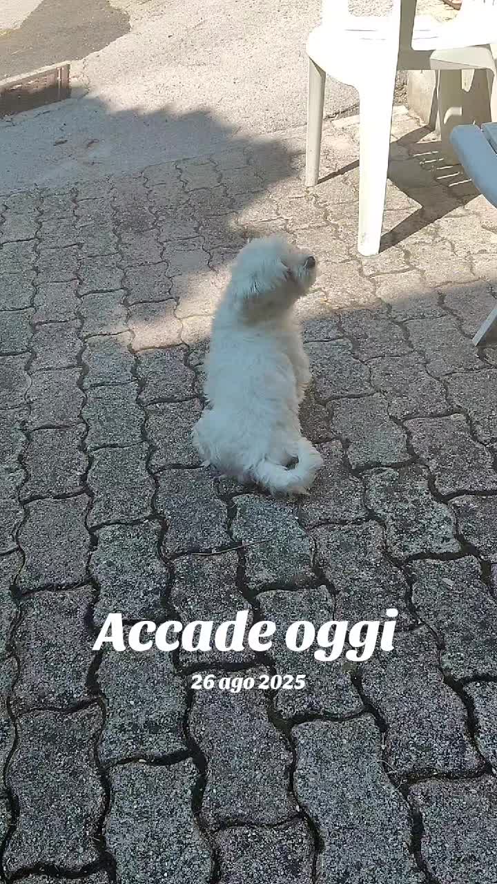 @Moira Bartolini