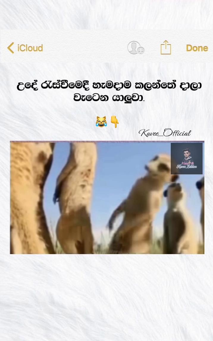 @๐ฒ๐๐๐๐_๐ฌ๐
๐๐๐๐๐