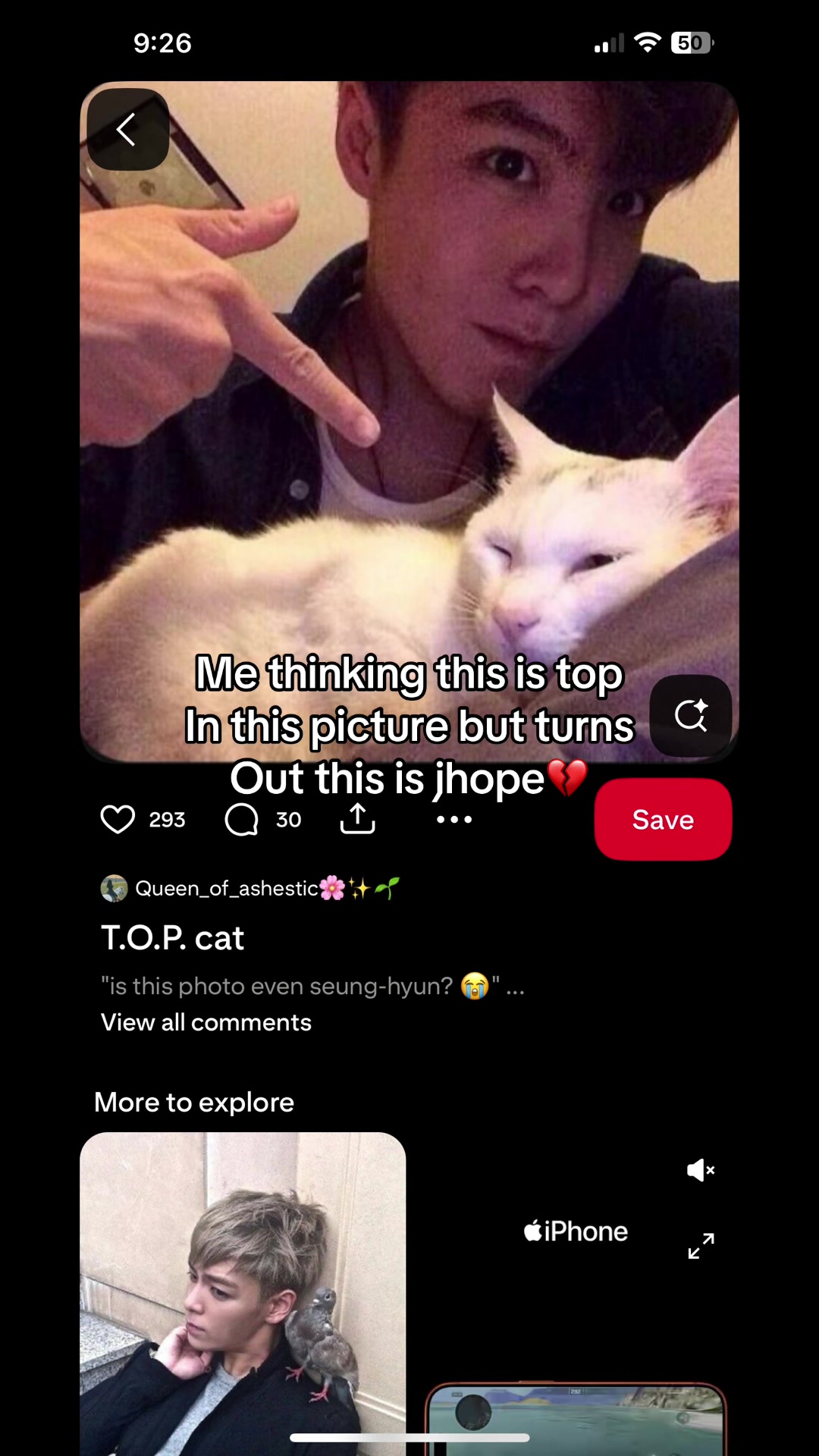 @cardi 🪼