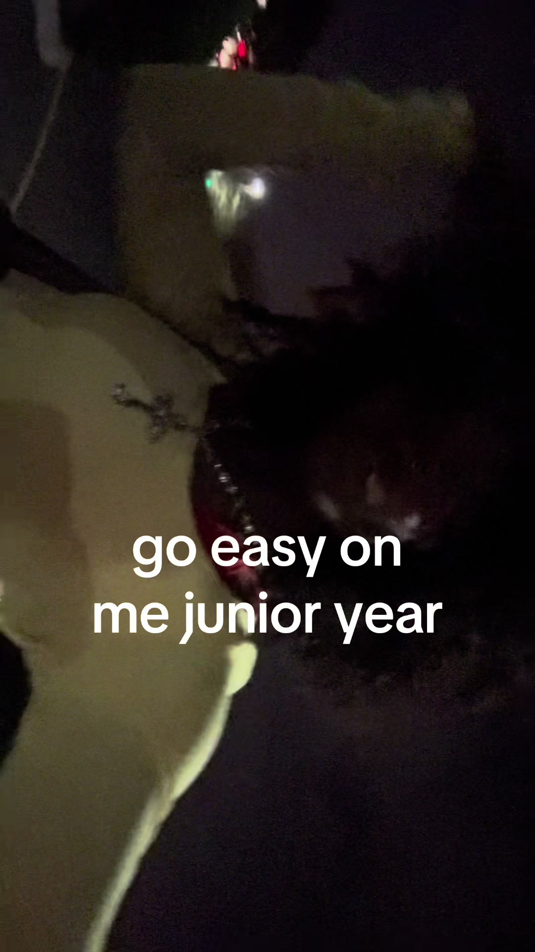 @squid