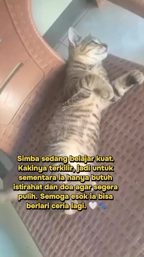 @Lina herlina
