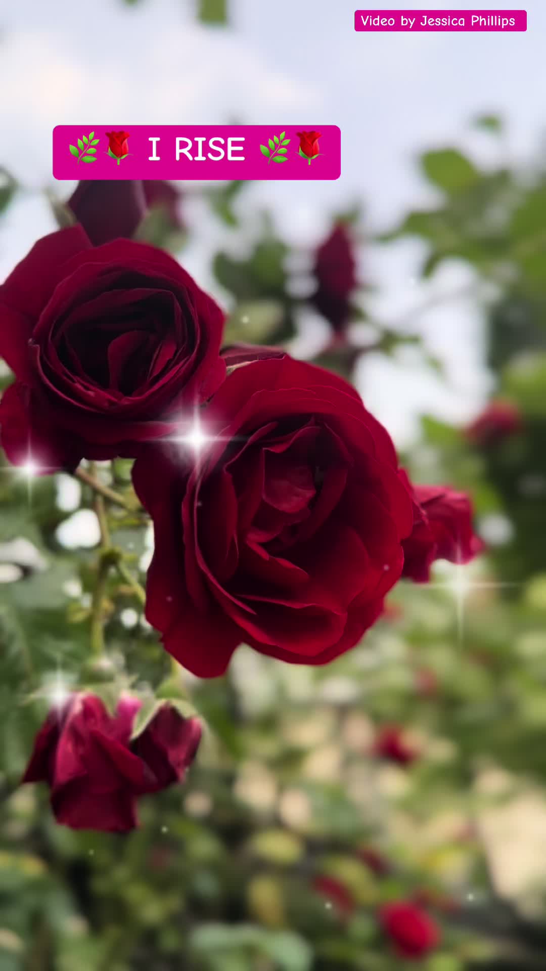 @JessWriterOfTheSacred