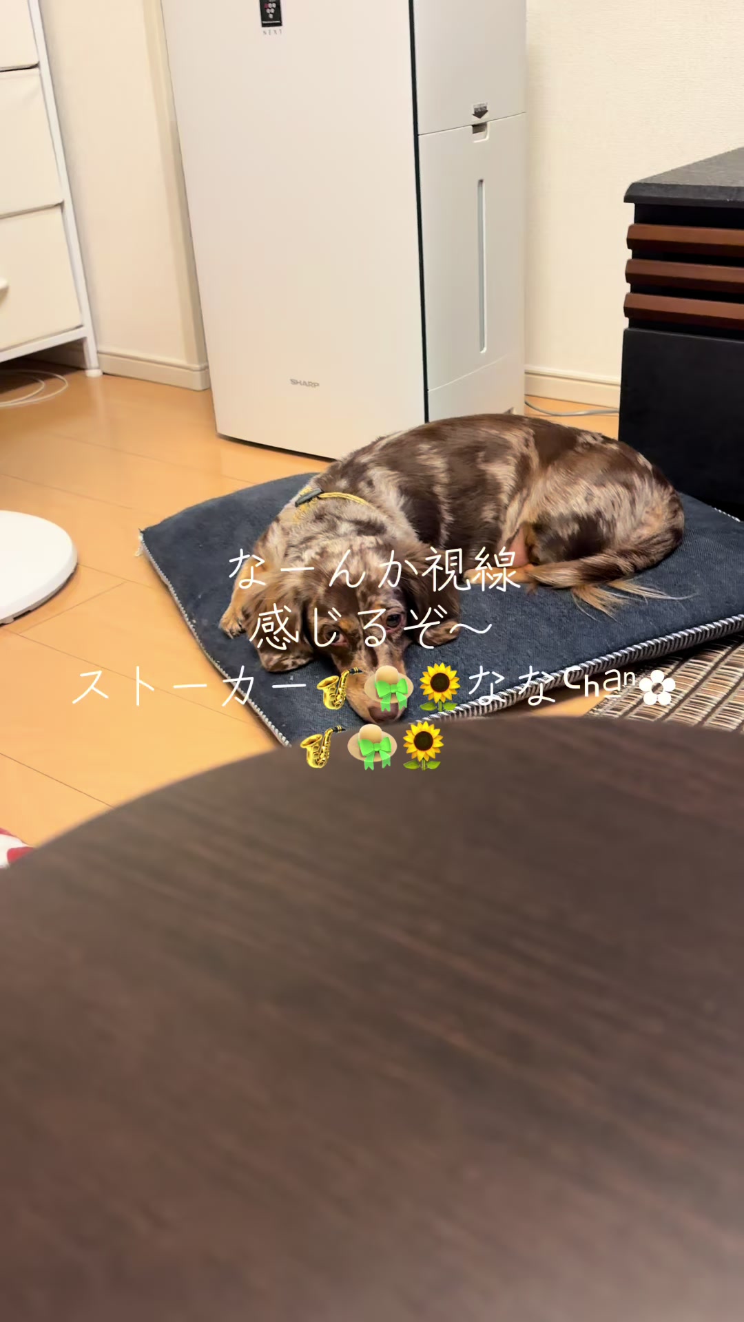 @ケン