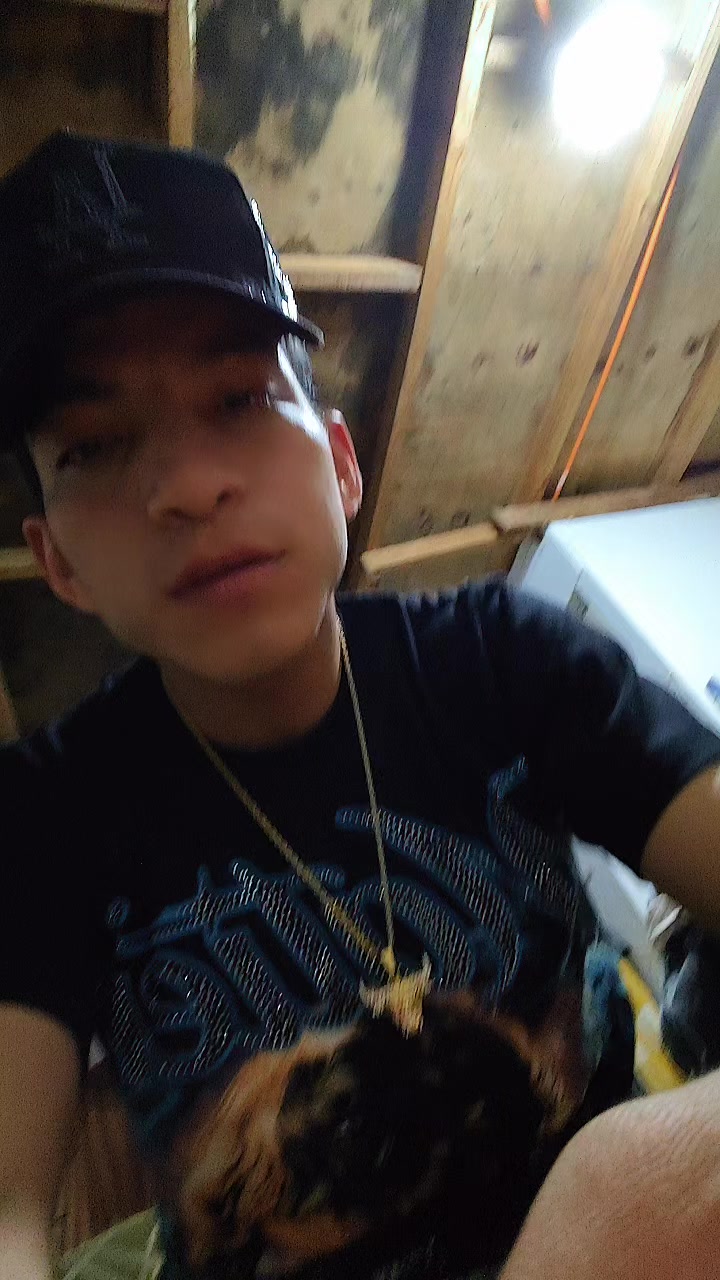 @Bruno Vasquez