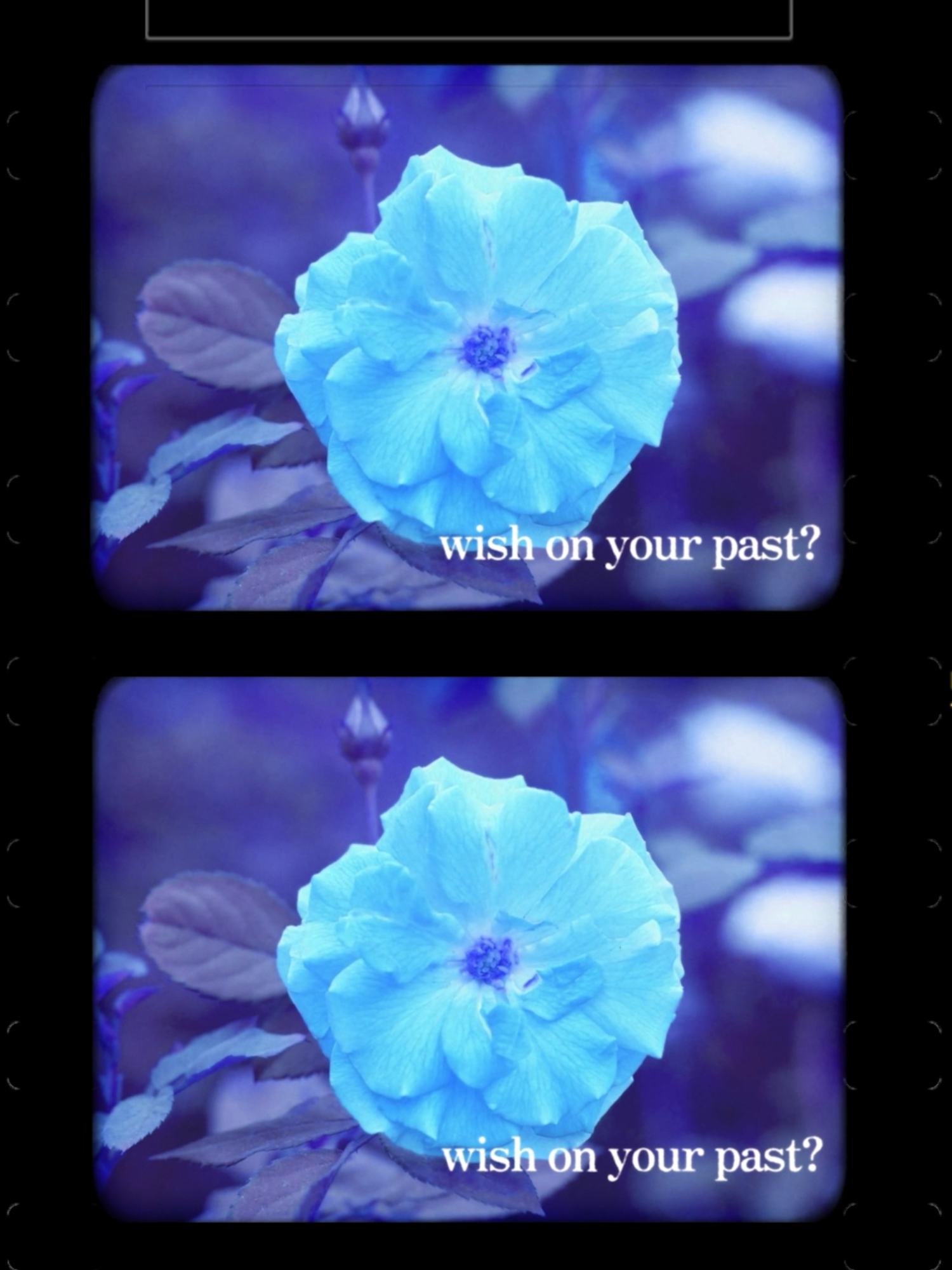 @ALTETUNE
