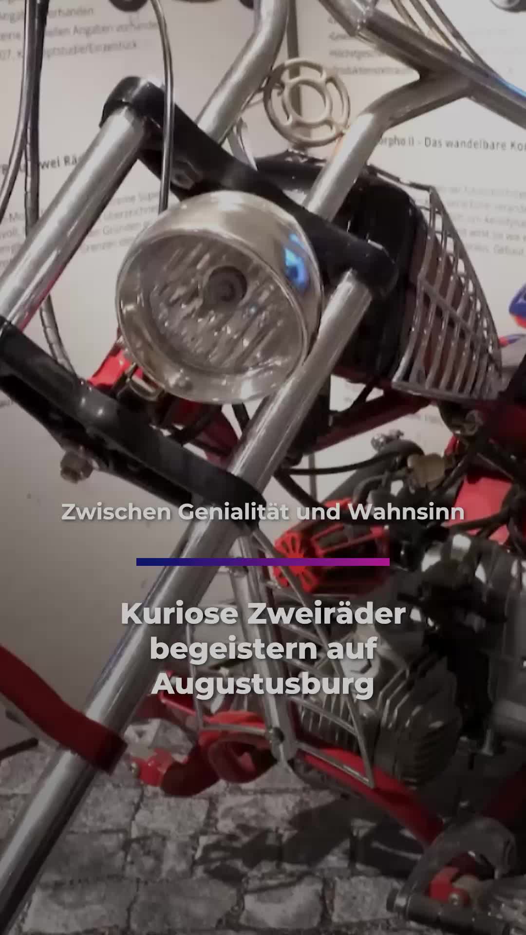 @Sachsen Fernsehen