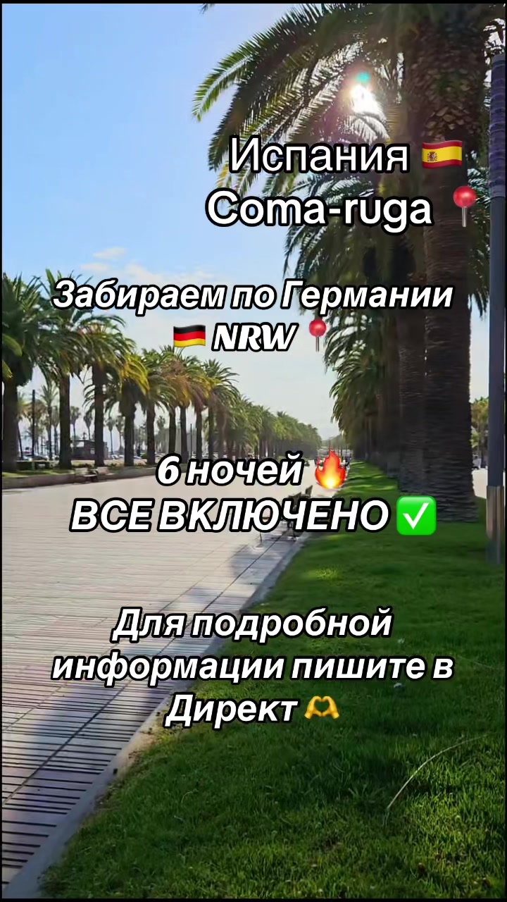 @Mario Tours