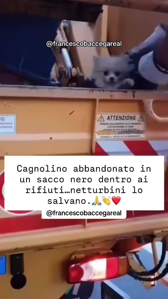 @francescobaccegareal