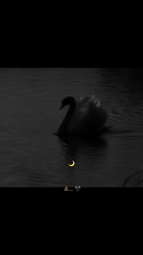 @elza.am🌙