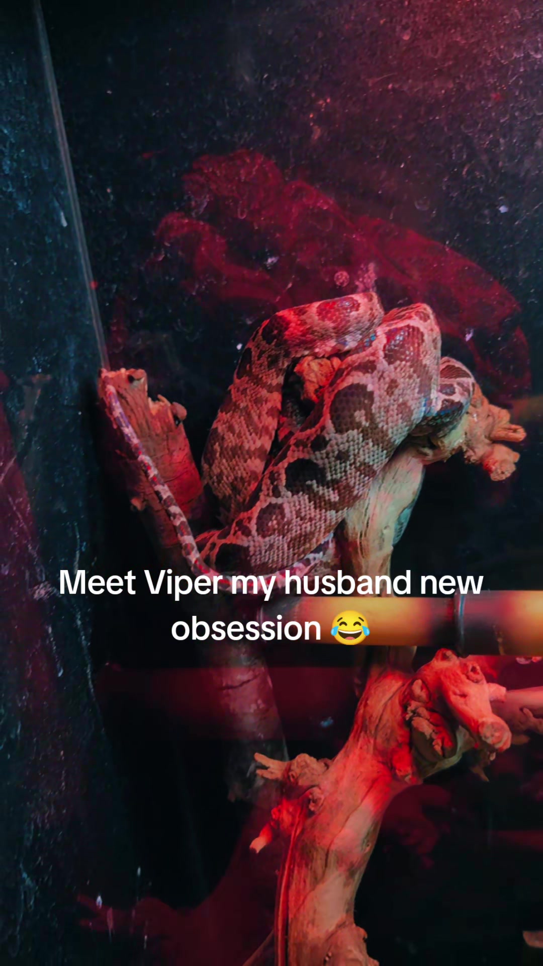 @Odehappy30