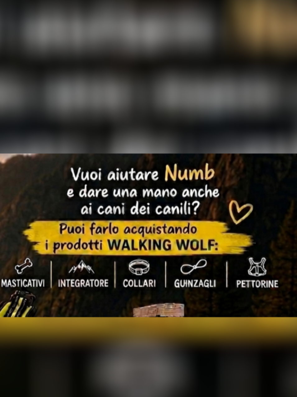 @La Gianpy