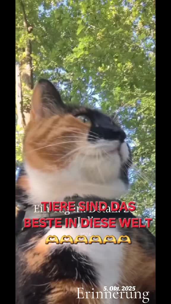 @fiammapietro005