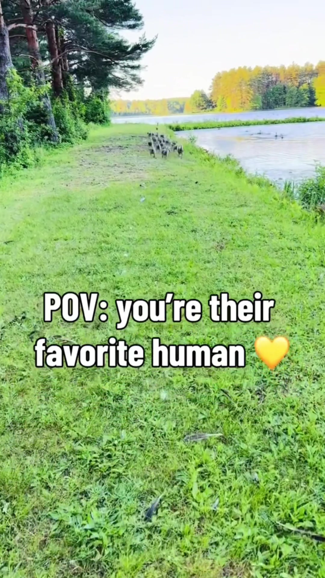 @receivepositivenergyonly