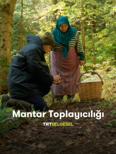 @TRT Belgesel